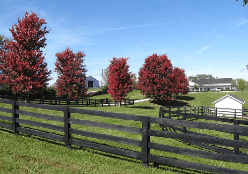 Northern Virginia Wood Fences photo